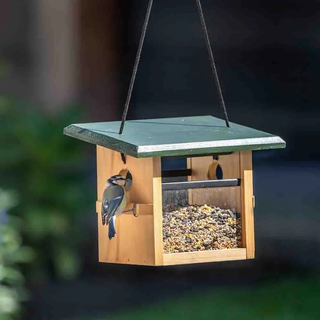 Mangeoire à oiseaux suspendue Eindhoven