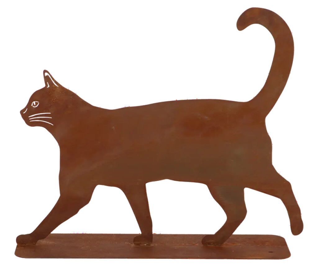 Chat rouillé marchant