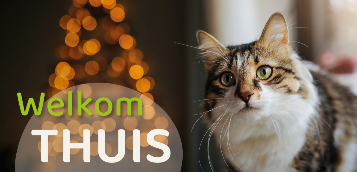 Welkom thuis