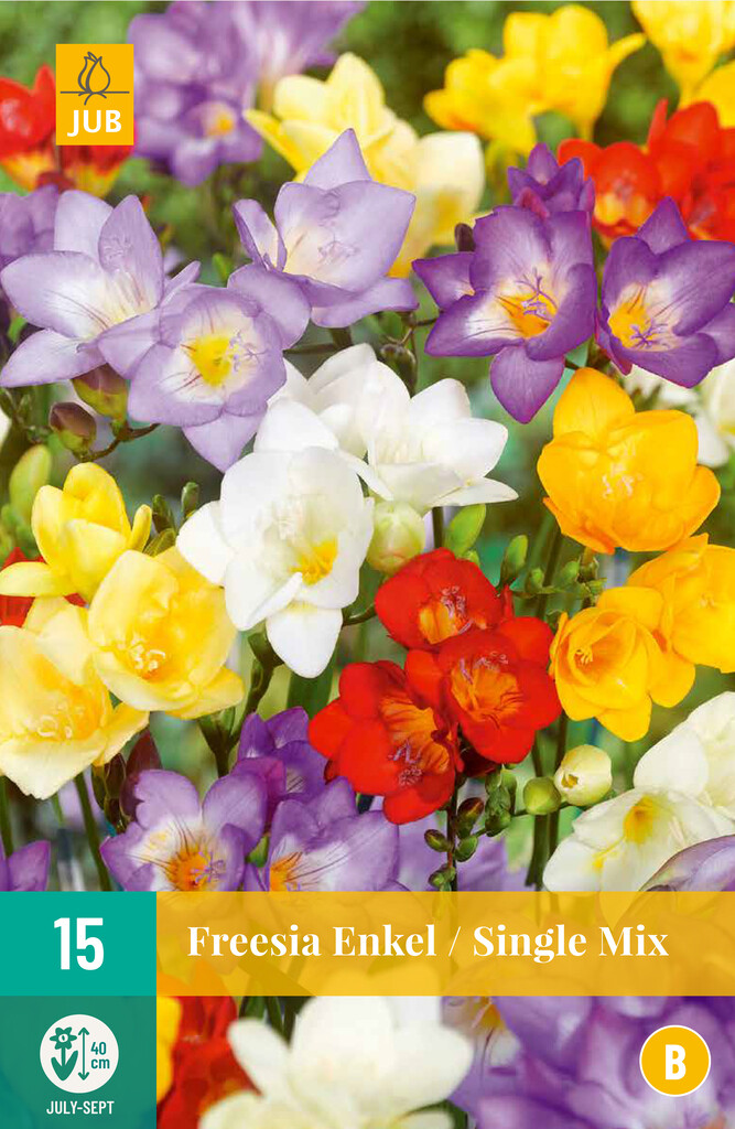 X15 Freesia Enkel Mix