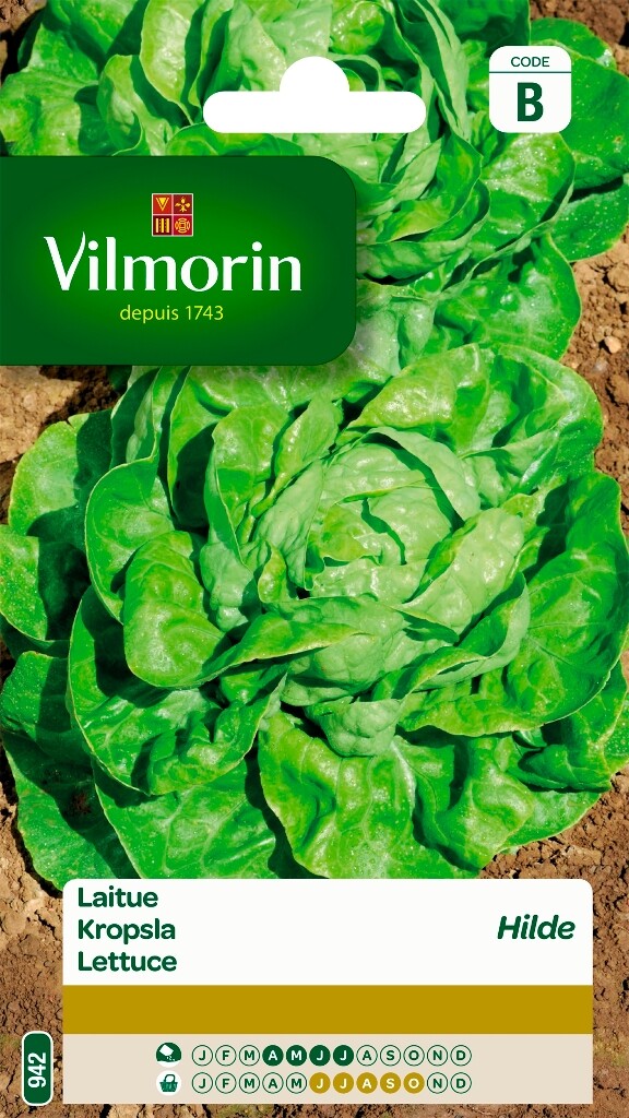 Laitue Hilde Laitue Hilde