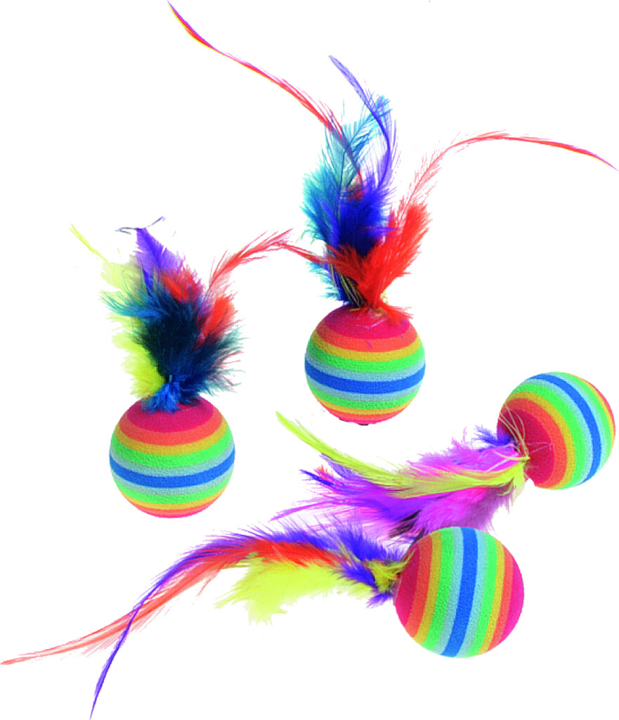 4 Ballon Rainbow + plume