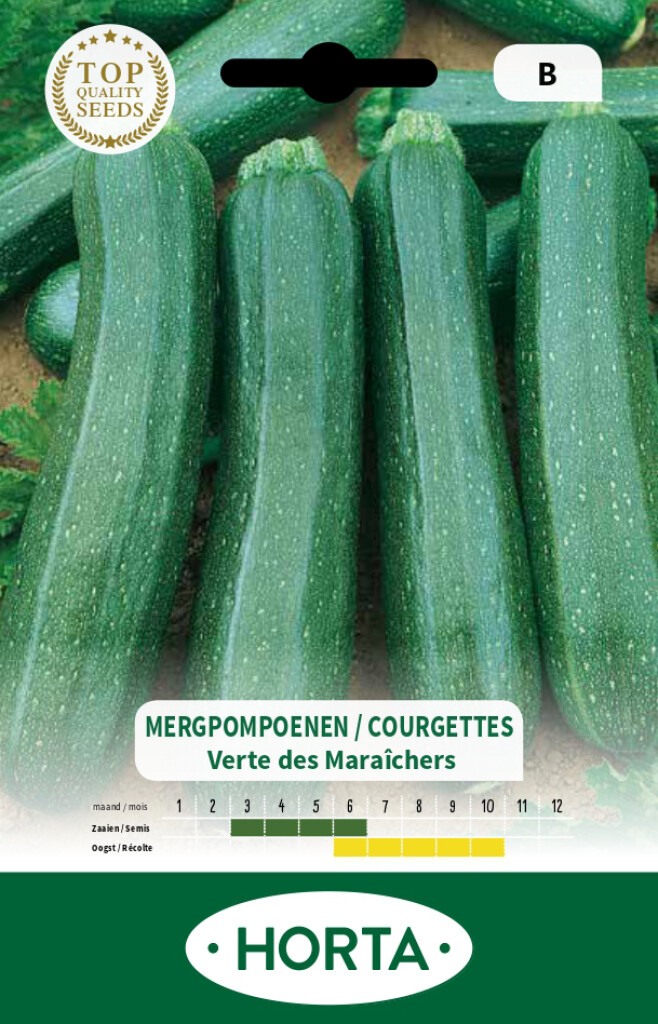 Courgette non coureuse Verte des Maraîchers