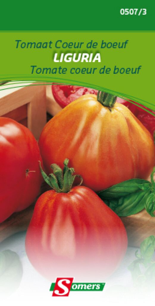 Zaden tomaat Coeur de boeuf Liguria Zaden tomaat Coeur de boeuf Liguria