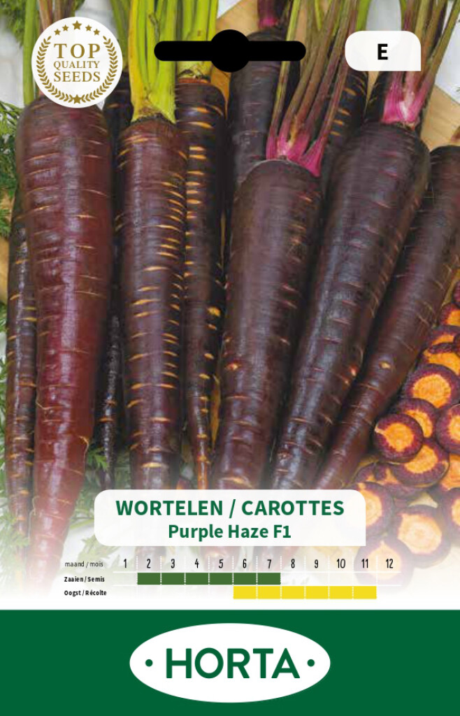 Wortel Purple Haze F1