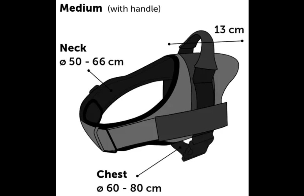 Harnas Best Buddy Pluto Zwart M