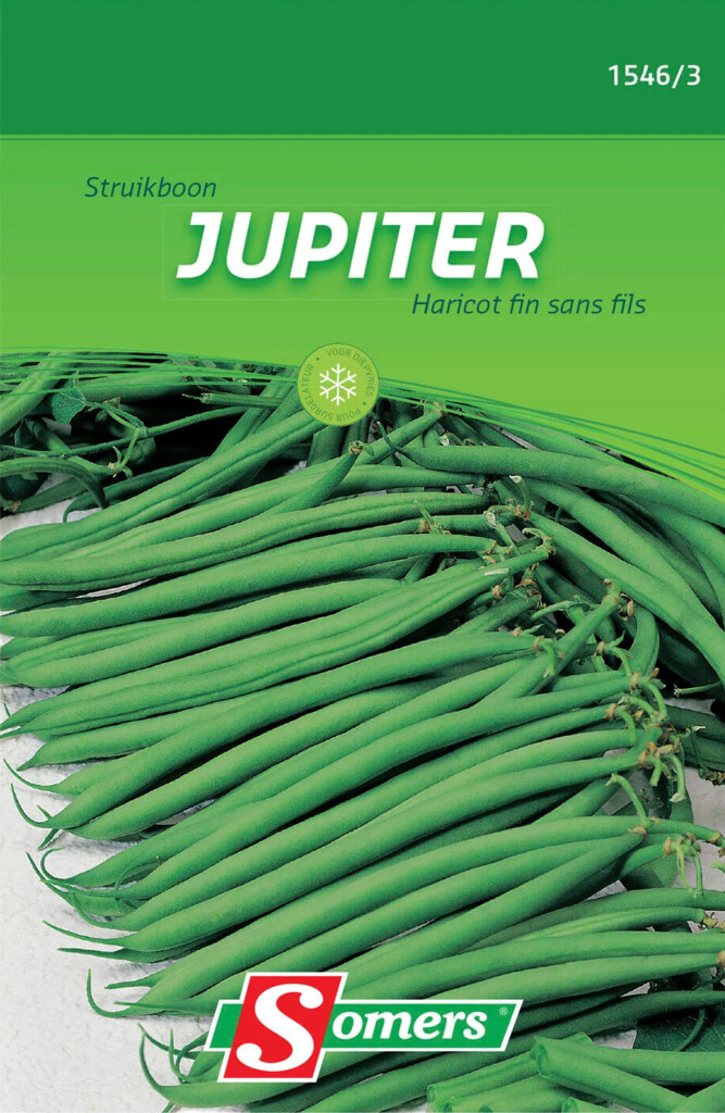Haricot princesse Jupiter 130g