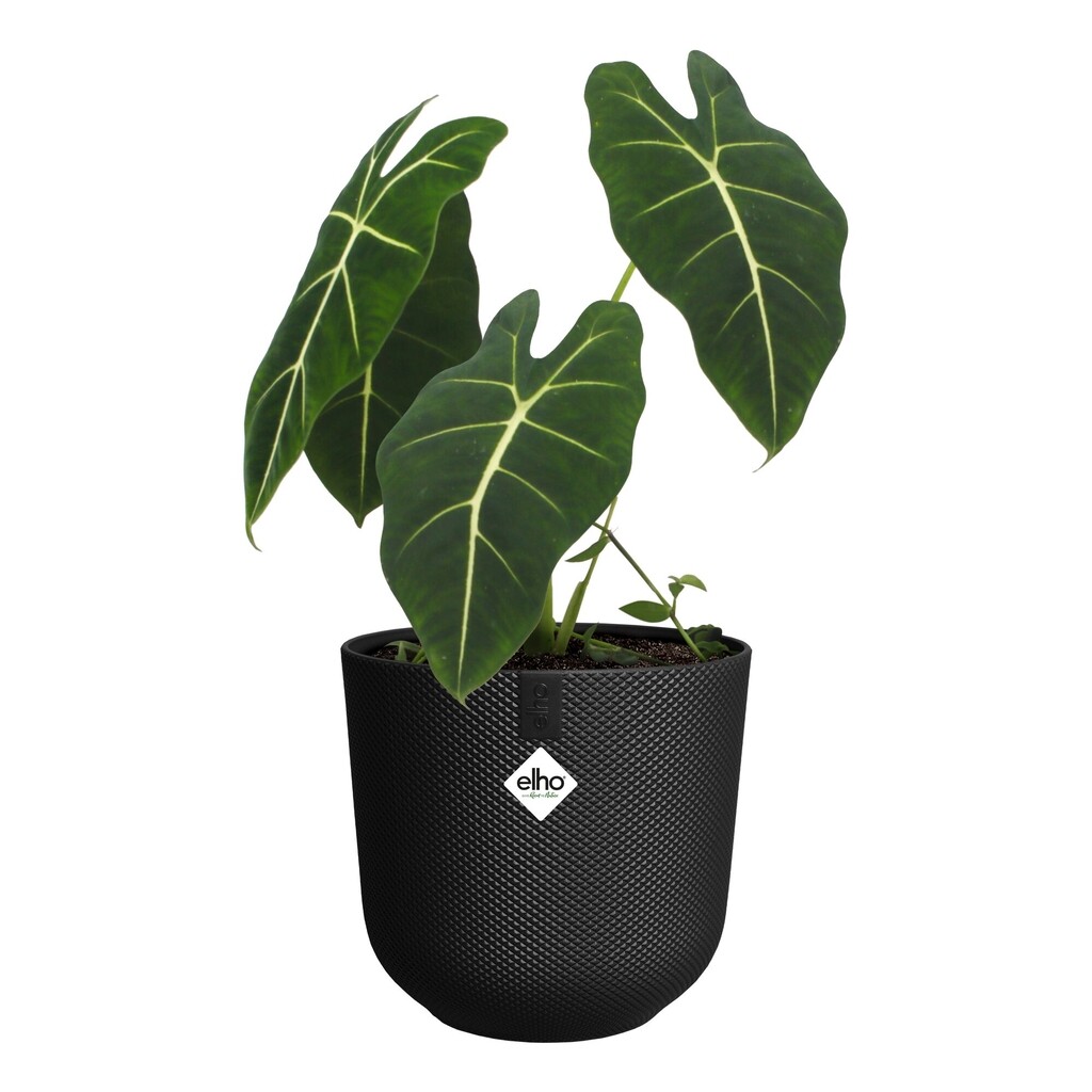 Jazz Rond 19cm zwart