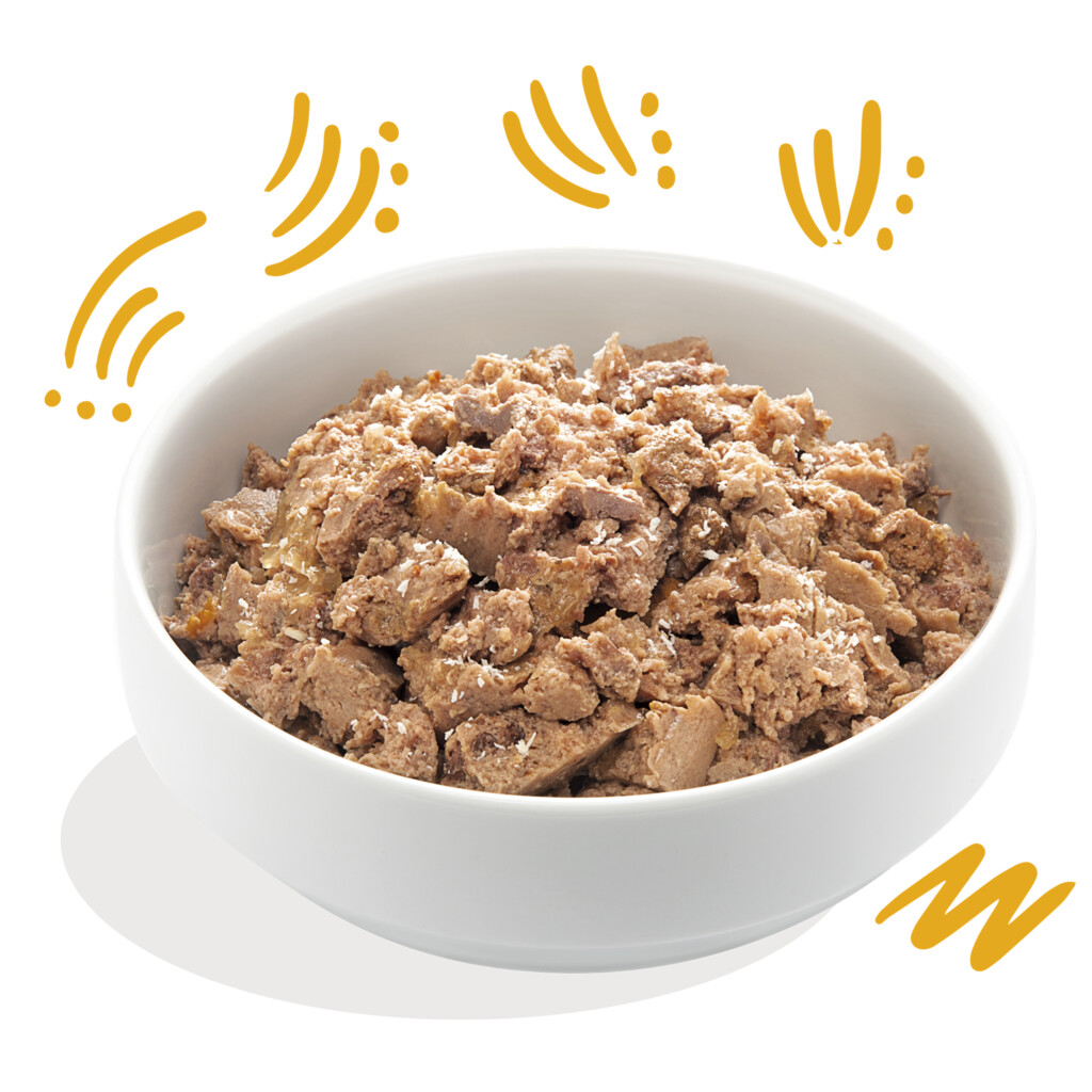 Biologische kalkoen 100g - Adult - kuipje