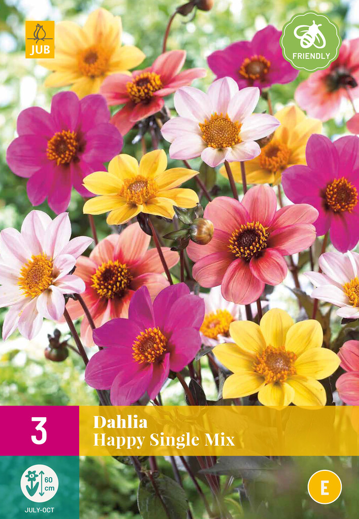 X3 Dahlia Happy Single Mix