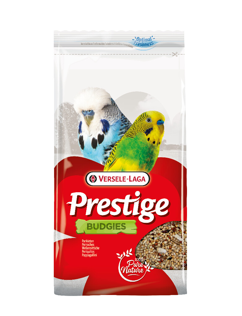 Perruches 1kg
