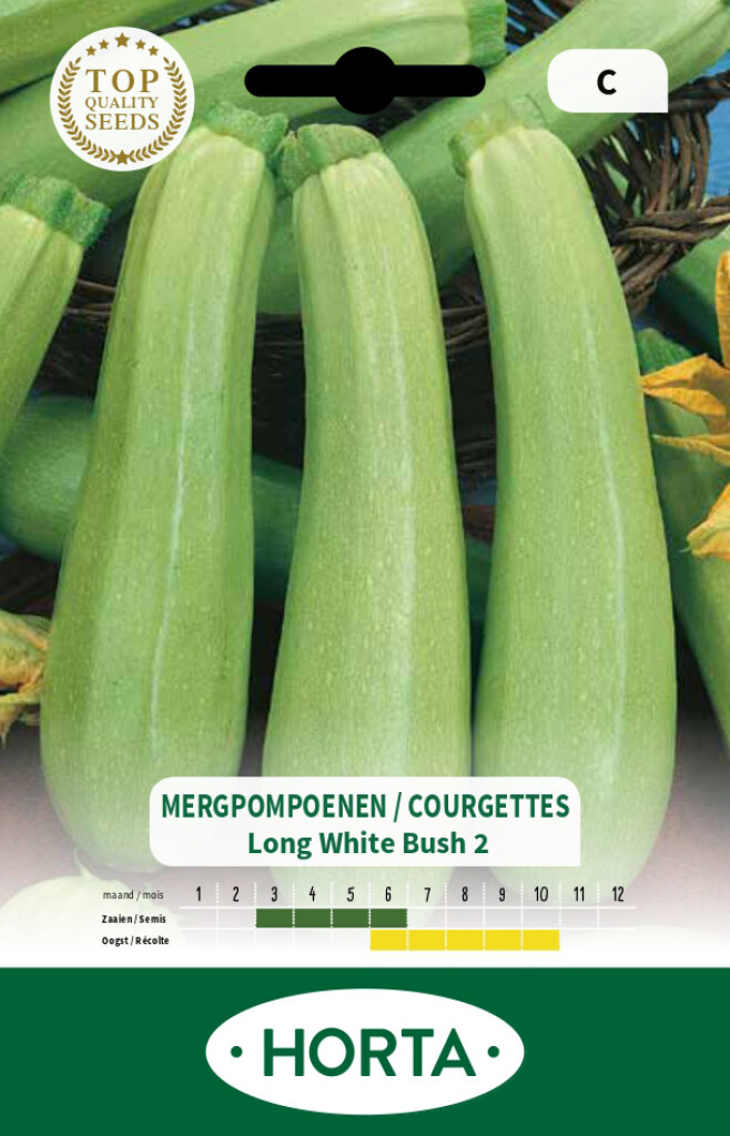 Courgette lange witte Bush 2