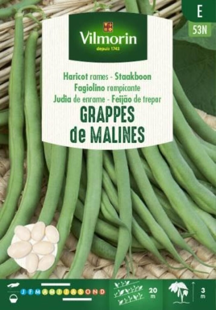 Haricot mangetout à rames grappe De Malines 125g