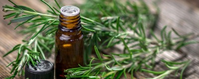 Geef je gezondheid een boost met kruiden Geef je gezondheid een boost met kruiden
