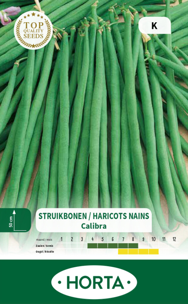 Haricot nain mangetout fin Calibra Haricot nain mangetout fin Calibra