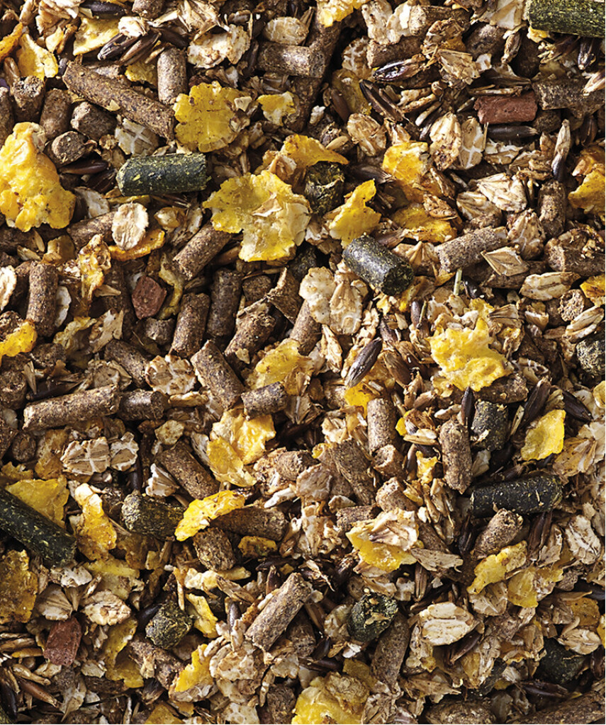 Muesli sport Action Mix 20 kg