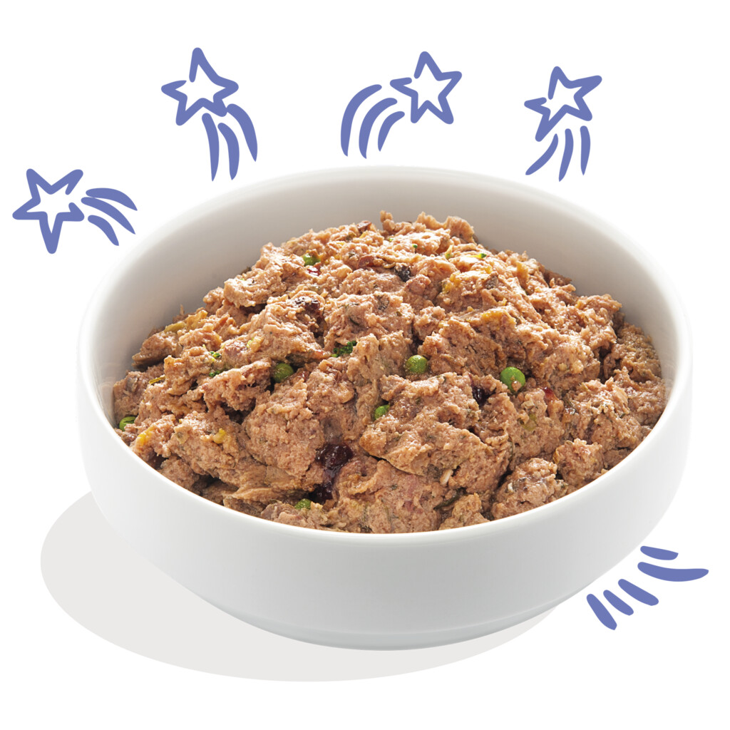 Boeuf & canard 150g - adulte - barquette