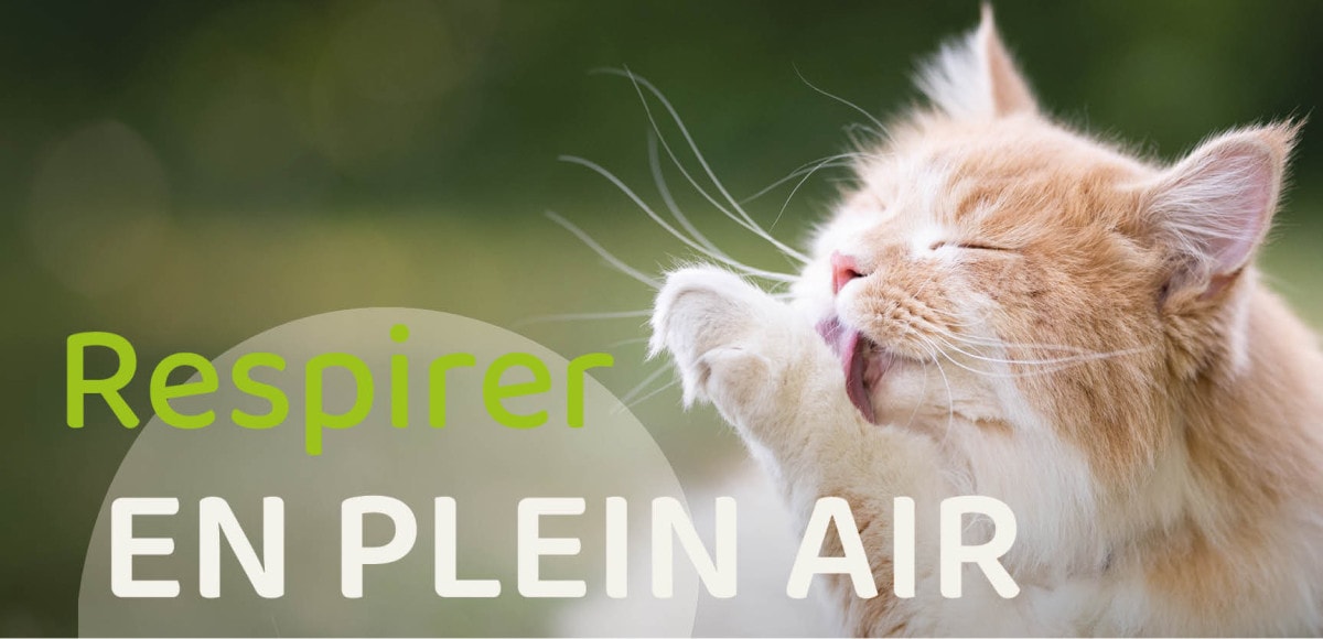 Respirer en plain air