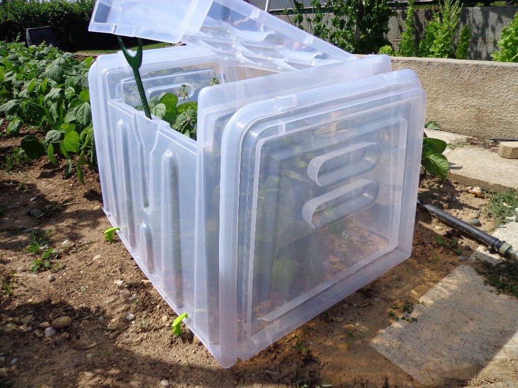 Kweektunnel Modul'o 60