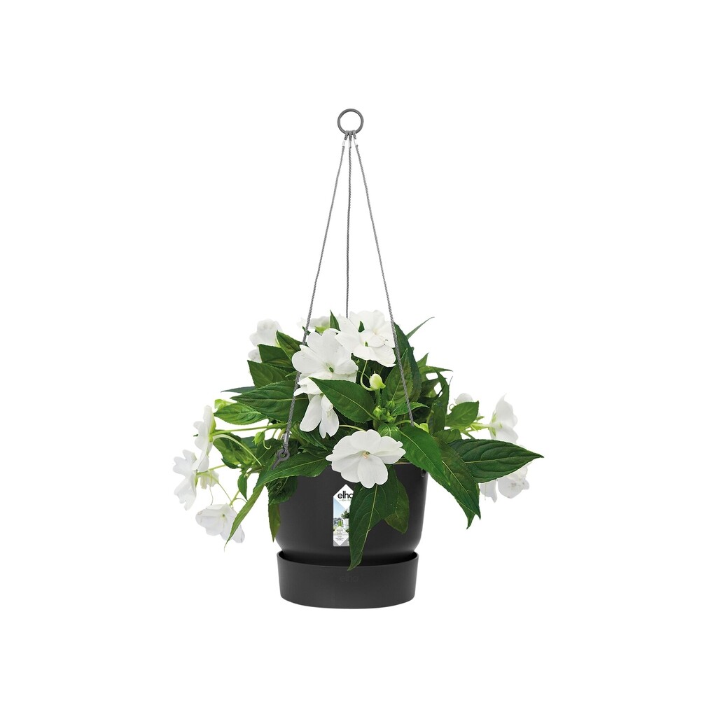 Greenville Hangschaal 24cm zwart