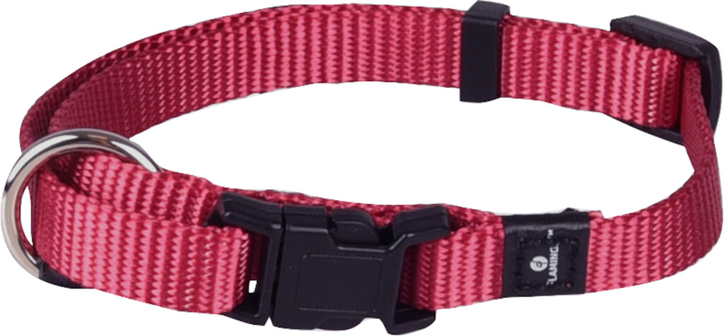 Collier Ziggi Rouge Cérise XS 20-35cm 10mm Collier Ziggi Rouge Cérise XS 20-35cm 10mm
