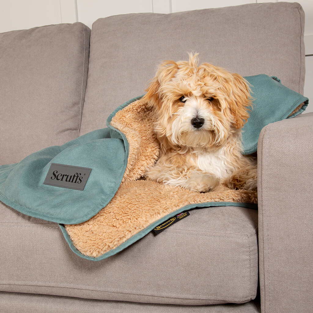 Couverture Cosy Chien Vert Sauge
