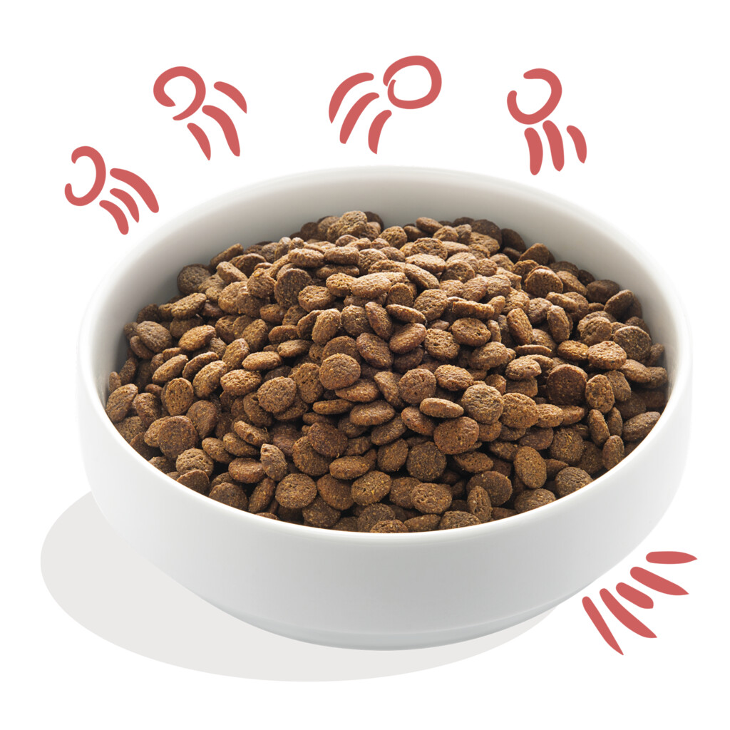 Verse scharrelkip & Noorse zalm 7kg - senior - medium