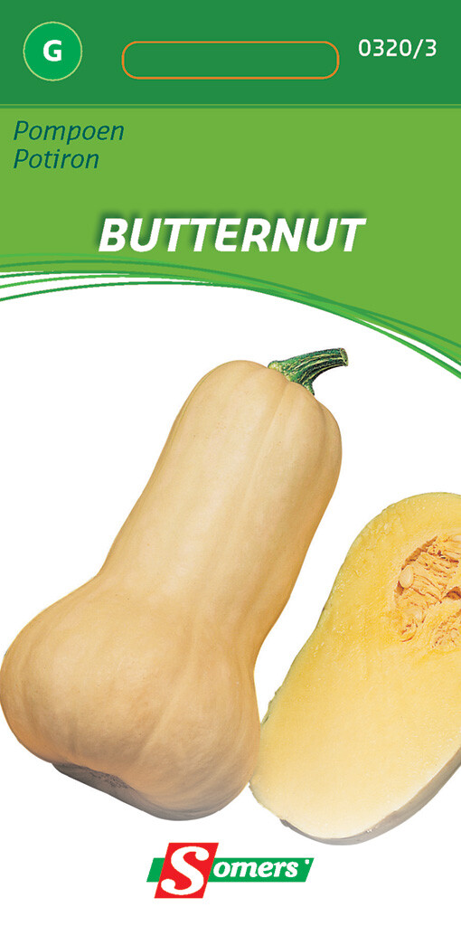Pompoenen Butternut