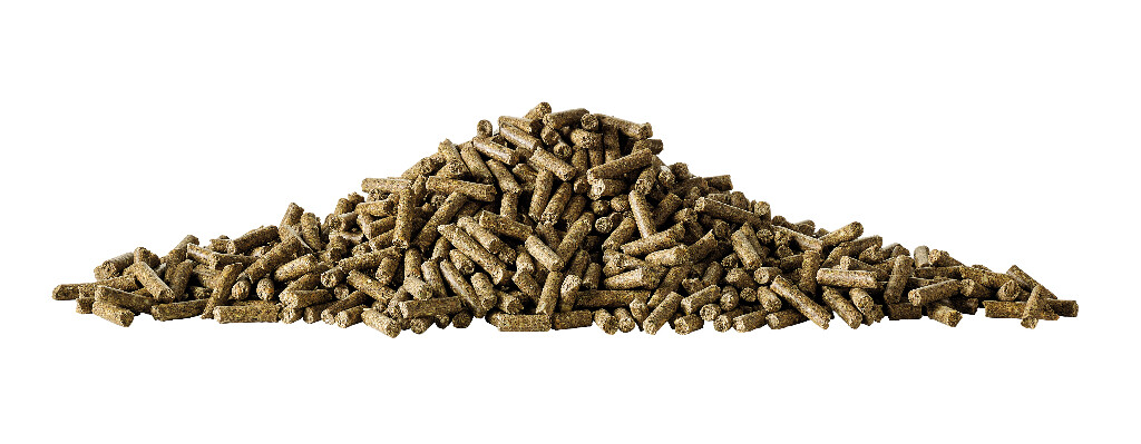 Breeding - Probreed Pellet 20kg