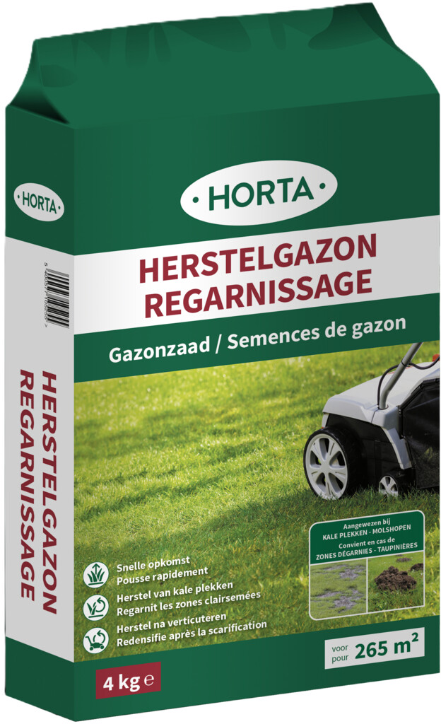Gazon de regarnissage 4 kg