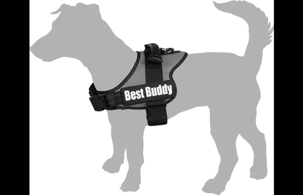 Harnas Best Buddy Pluto Rood L Harnas Best Buddy Pluto Rood L