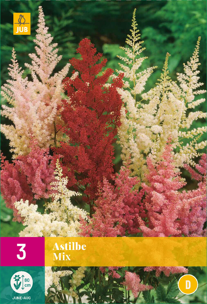 X3 Astilbe Mix