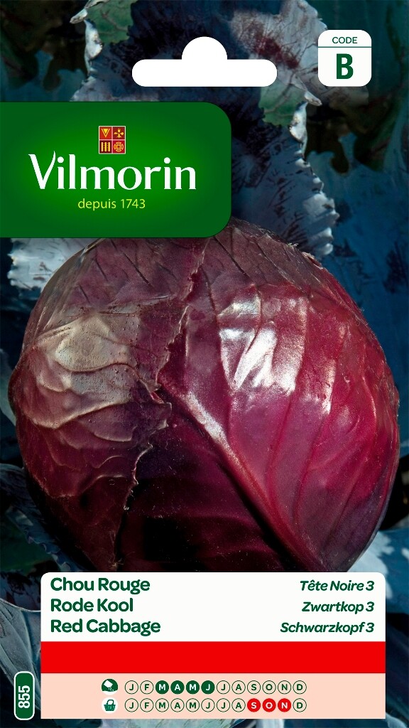 Rode kool Zwartkop 3