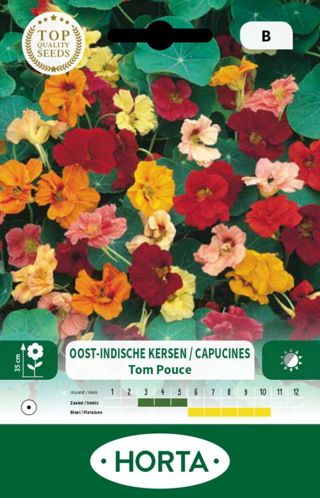 Tropaeolum (oost-indische kers) laag Tom Pouce gemengd