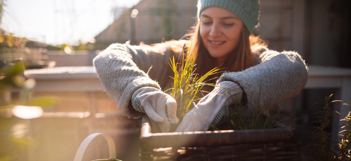 Wat te doen in de tuin: december