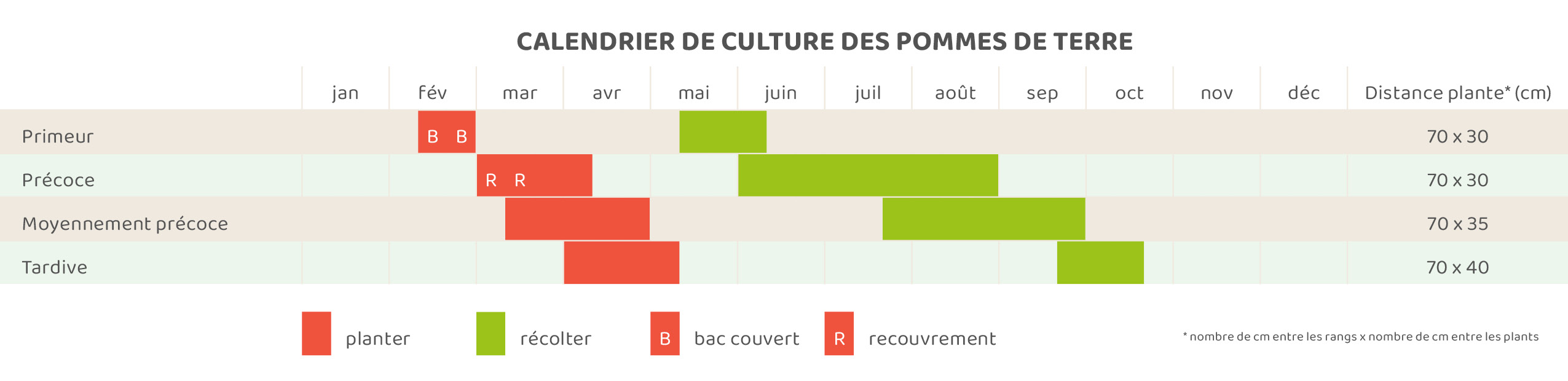Pommes de terre Pommes de terre
