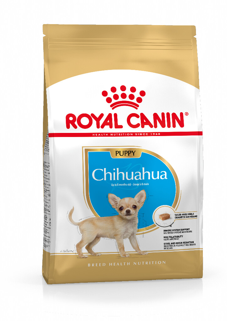 BHN Chihuahua Puppy 1,5kg
