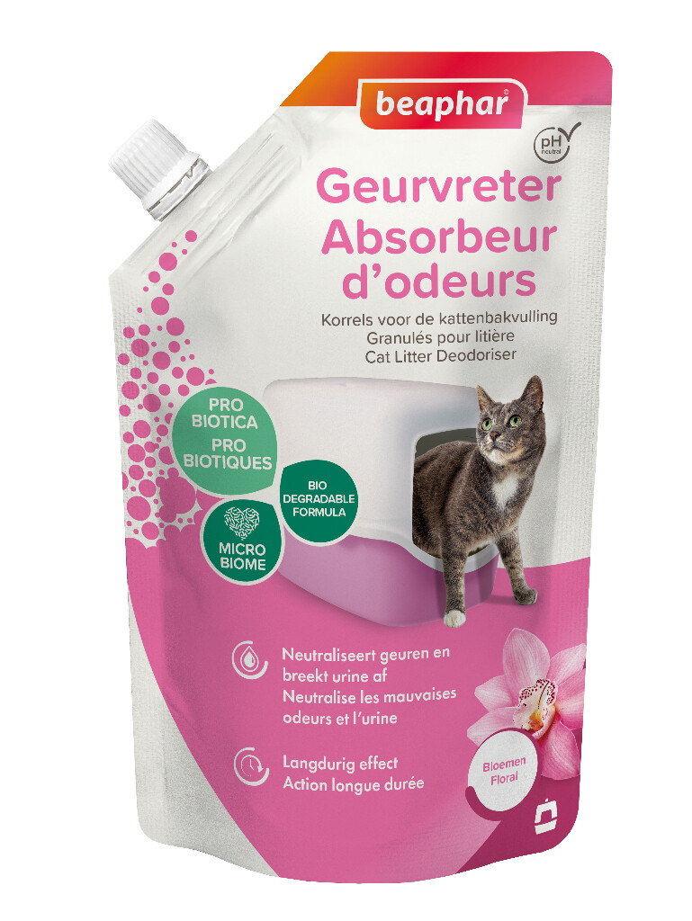 Geurvreter Orchidee