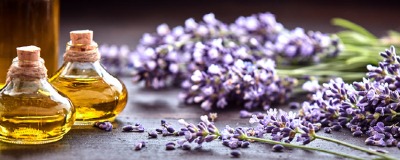 DIY/ De kracht van lavendel DIY/ De kracht van lavendel