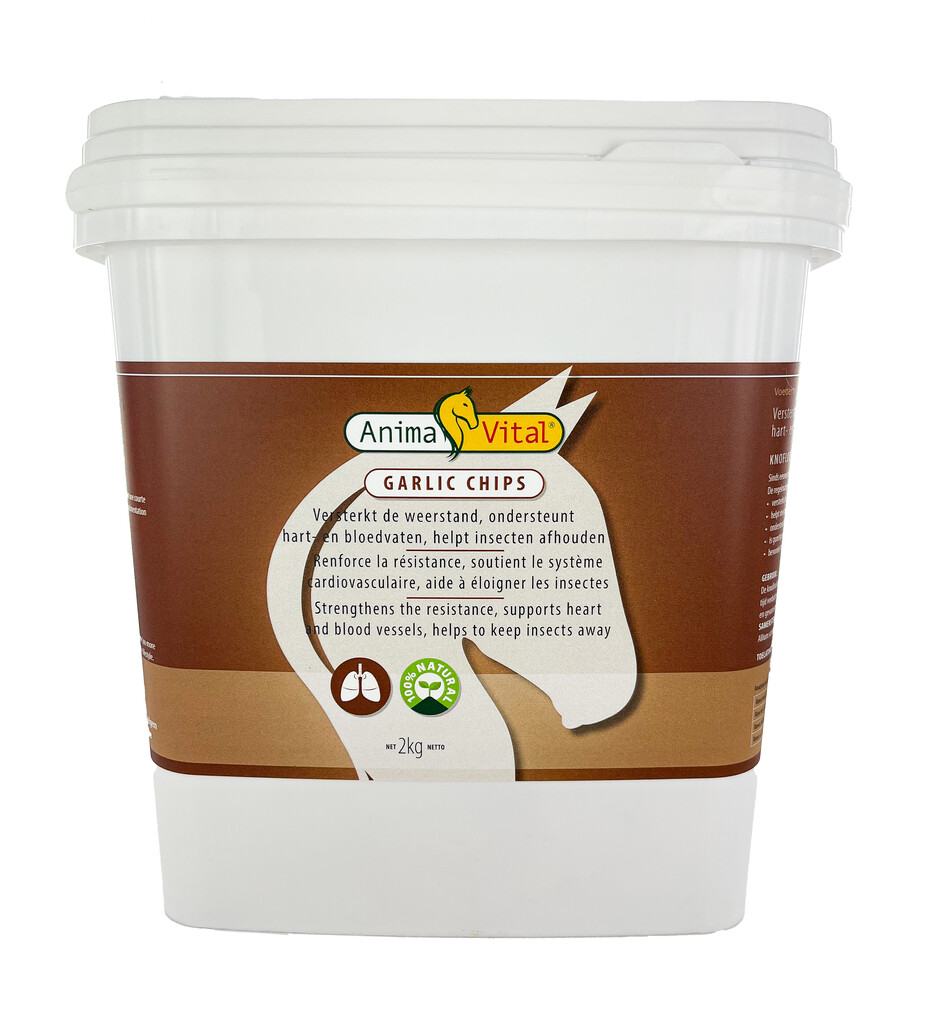 Garlic chips 2kg