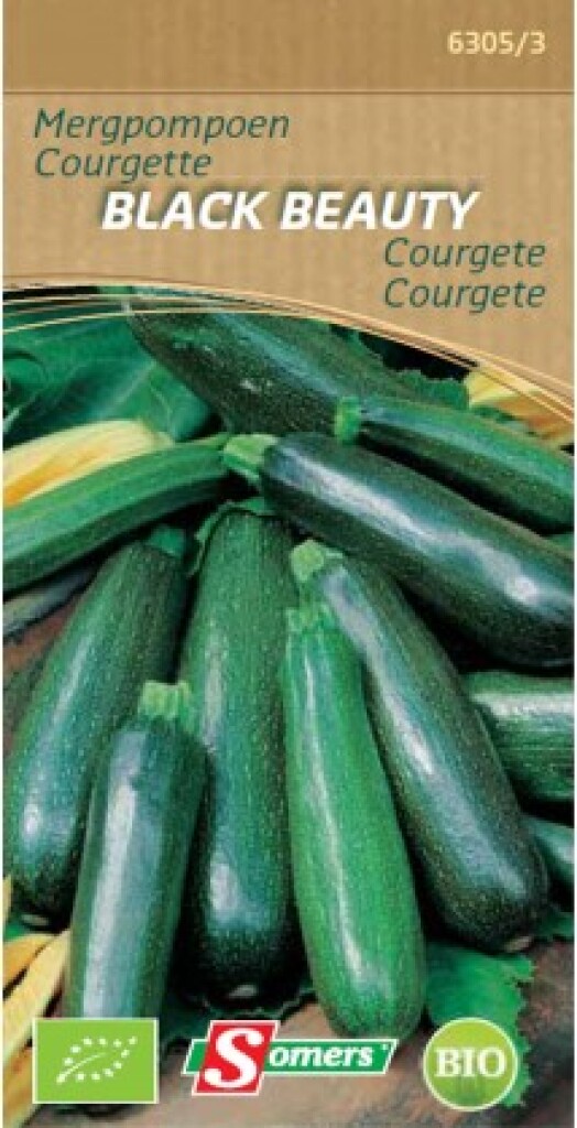 Be-Bio-02 Courgette Black Beauty