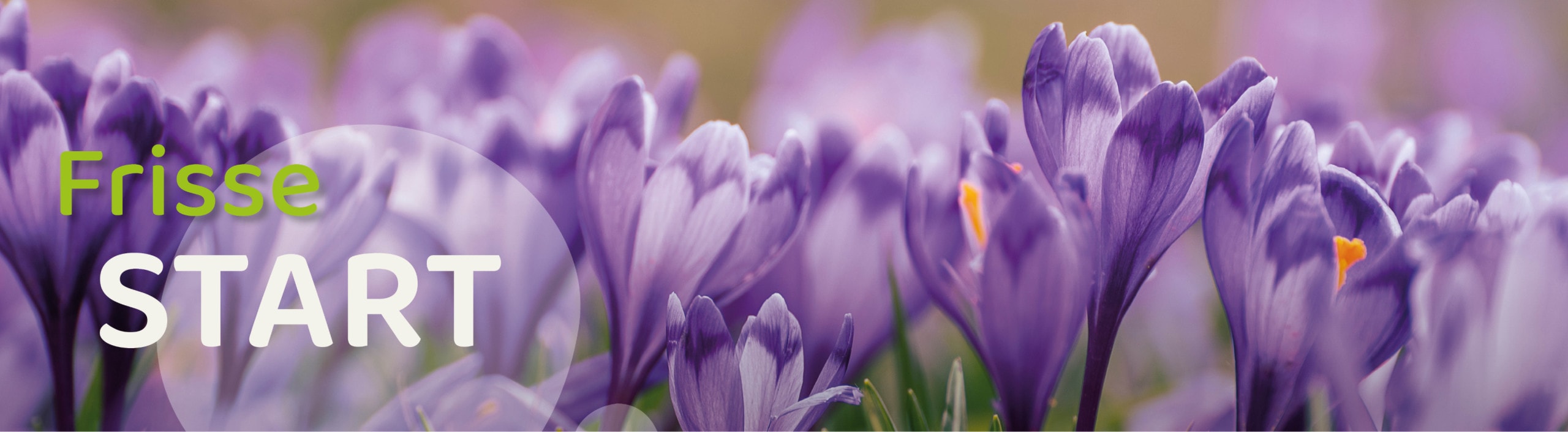 Frisse start