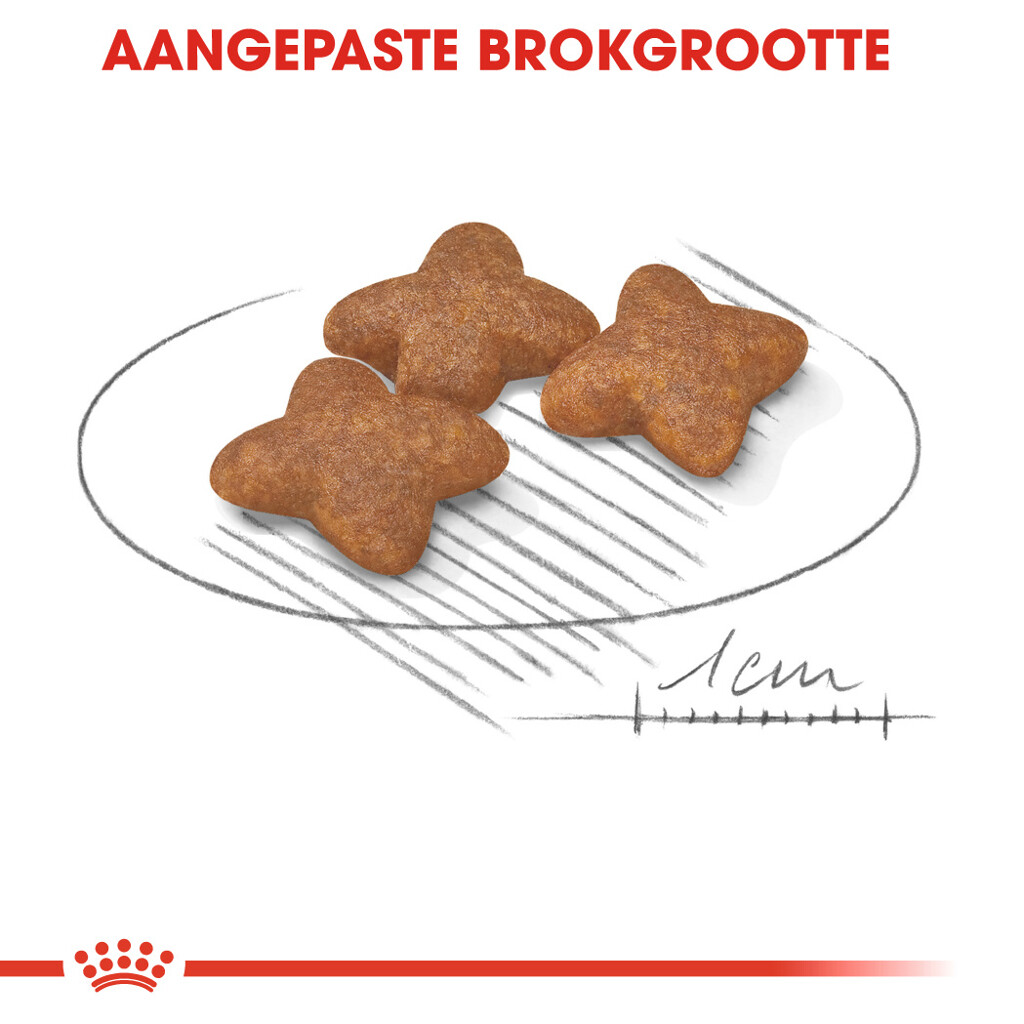 SHN Mini Adult 4 kg