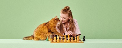 Opti Life Opti Life: getest en goedgekeurd door katten en hun baasjes