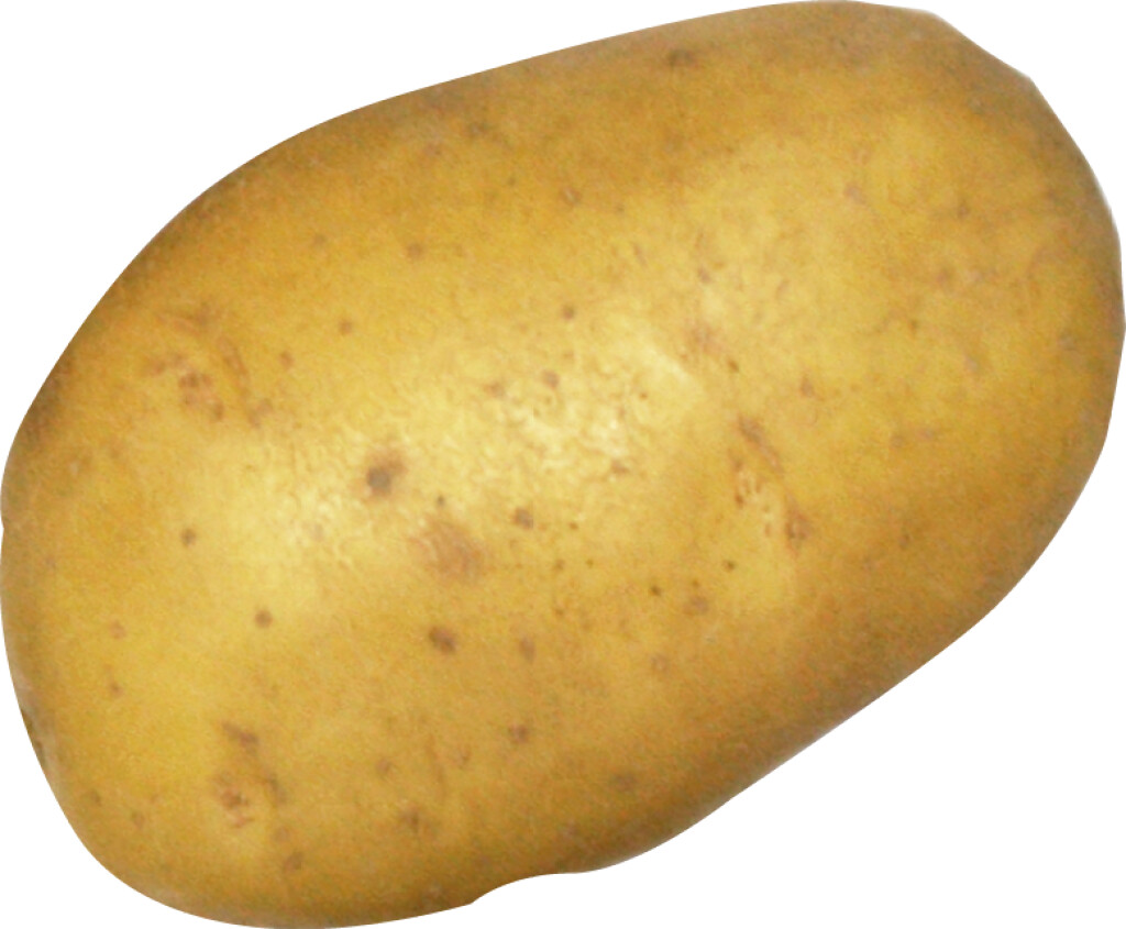 Eersteling 1,5 kg