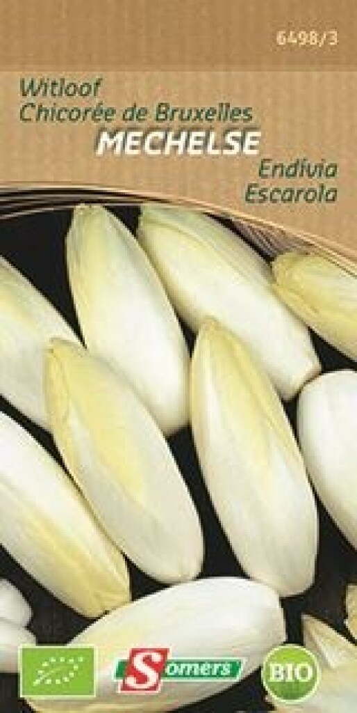 Be-Bio-02  Witloof Mechelse