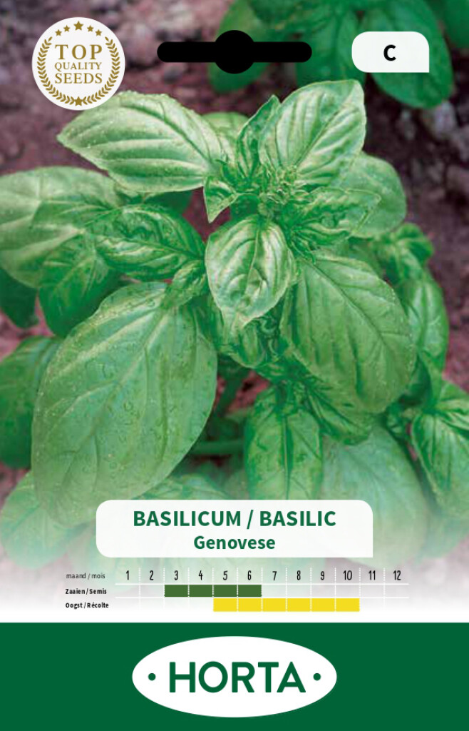 Basilicum Genovese Basilicum Genovese