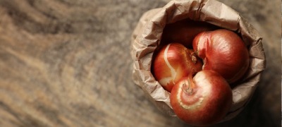 Bloembollen bewaren in 3 stappen Bloembollen bewaren in 3 stappen