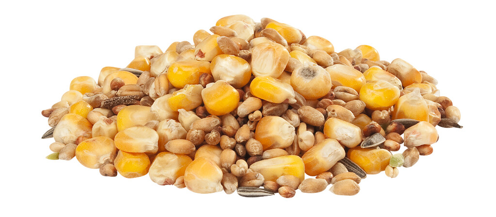 Gra-Mix hennengraan 4kg Gra-Mix hennengraan 4kg