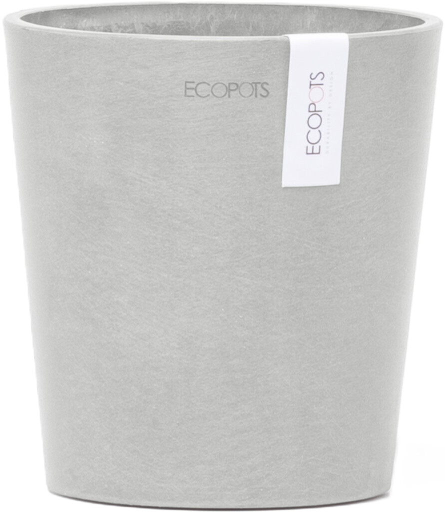 Morinda Orchid 14 Blanc Gris